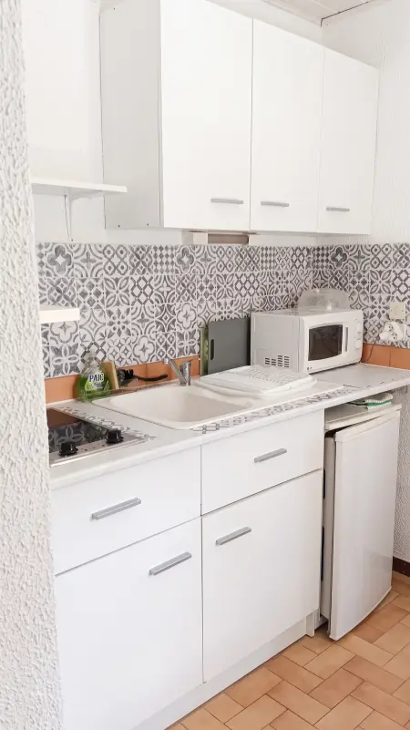 Studio 20 m² avec terrasse commune à Amélie-les-Bains-Palalda : photo 6