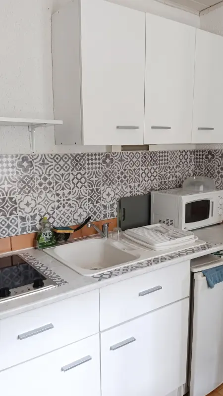 Studio 20 m² avec terrasse commune à Amélie-les-Bains-Palalda : photo 7