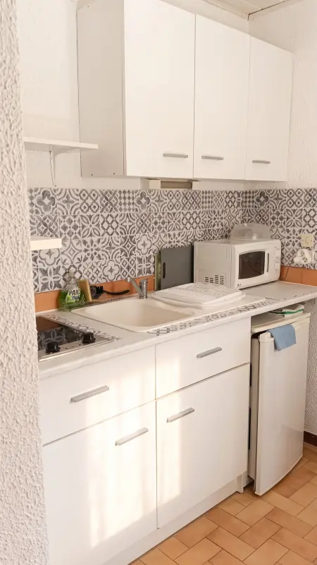 Studio 20 m² avec terrasse commune à Amélie-les-Bains-Palalda : photo 8