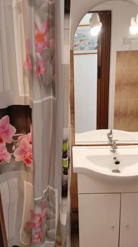 Studio 20 m² avec terrasse commune à Amélie-les-Bains-Palalda : photo 9