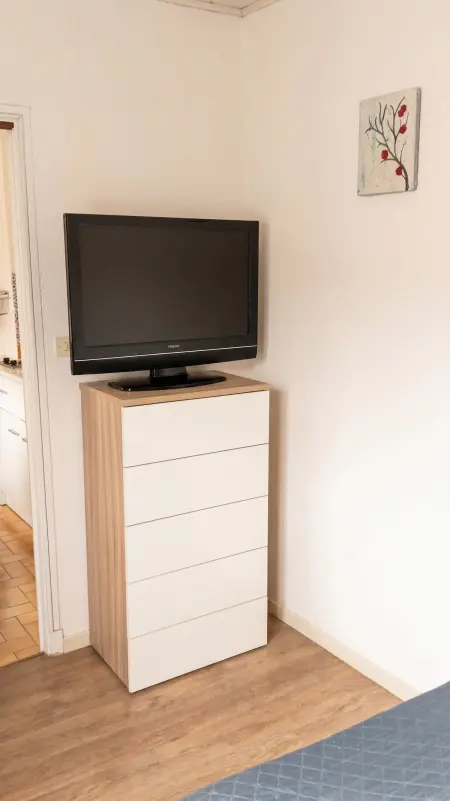 Studio 20 m² avec terrasse commune à Amélie-les-Bains-Palalda : photo 12