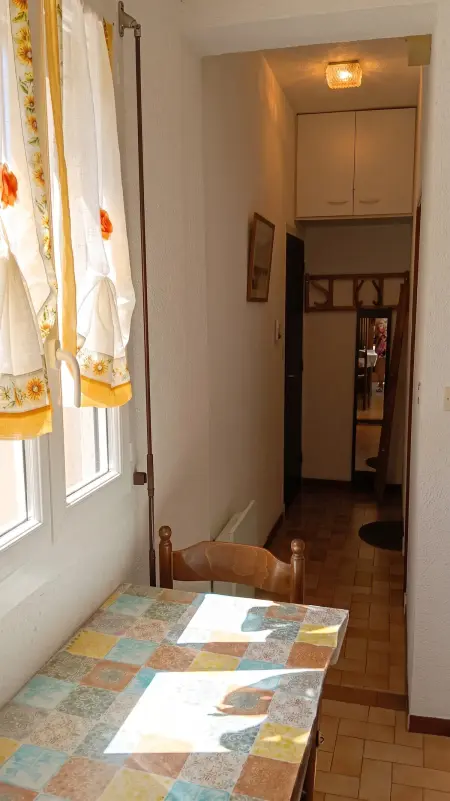 Studio 20 m² avec terrasse commune à Amélie-les-Bains-Palalda : photo 13