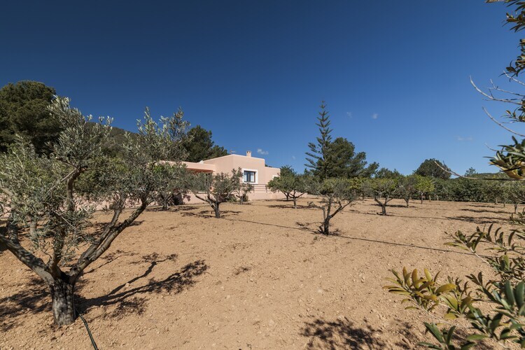 Villa Miquela à Sant Carles : piscine et vue mer - Photo 39