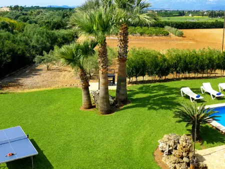 Villa rurale 8 pers., piscine 5x10m - Santa Margalida : photo 28