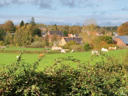 Gîte fermette 5 pers. avec terrasse 25m² - Saint-Waast : photo 10