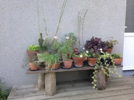 Gîte fermette 5 pers. avec terrasse 25m² - Saint-Waast : photo 24