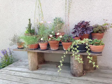 Gîte campagne 2 pers. avec terrasse sud et parking : photo 24