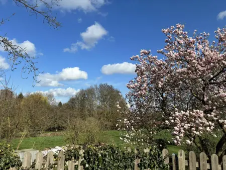 Gîte 2 pers. avec terrasse et cheminée à Sebourg : photo 9