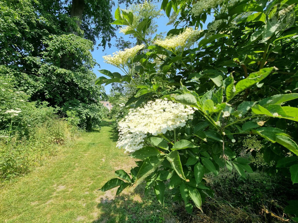 Gîte 14 pers. au château de Roucourt, animaux admis - Photo 36