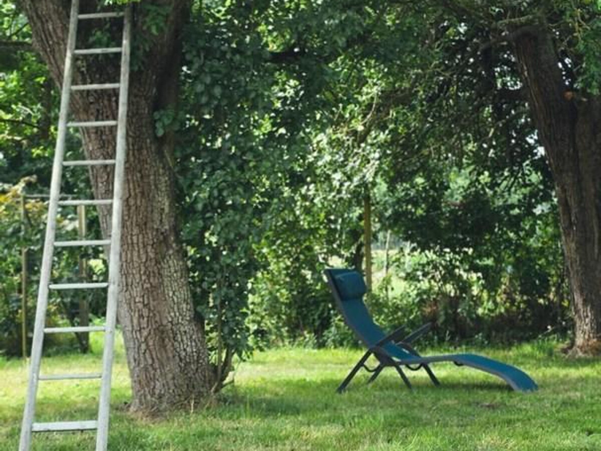 Gîte 8 pers. campagne calme, jardin 800m², accès Lille - Photo 24