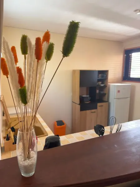 Appartement cosy à Vauclin avec jardin, Appartement 4 personnes à Le Vauclin - Photo 8