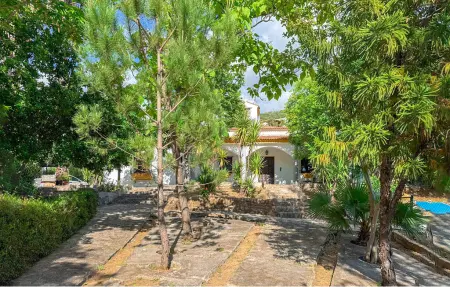 Finca avec piscine et vue montagne à Jimera de Líbar : photo 14