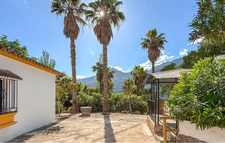 Finca avec piscine et vue montagne à Jimera de Líbar : photo 16