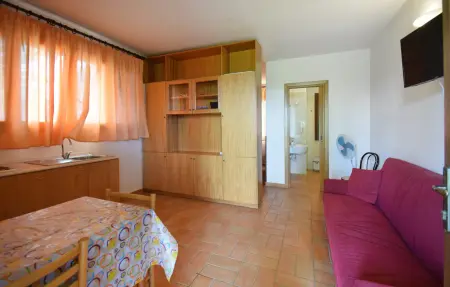 Maison 40m² avec piscine et jardin aux oliviers : photo 4
