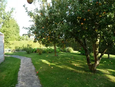 Gîte 2 maisons mitoyennes 7 pers. à Saint-Waast : photo 25