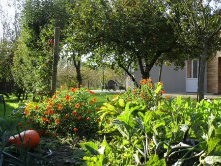 Gîte 2 maisons mitoyennes 7 pers. à Saint-Waast : photo 26