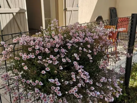 Gîte Jehanne à Coussey, 6 pers., terrasse barbecue : photo 25