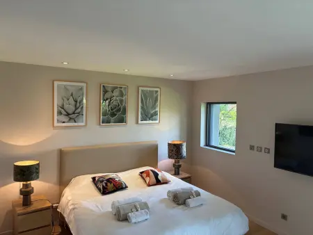 Villa contemporaine vue lac, piscine débordement & spa : photo 16