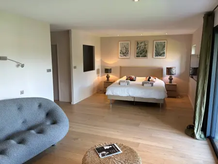 Villa contemporaine vue lac, piscine débordement & spa : photo 17