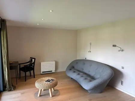 Villa contemporaine vue lac, piscine débordement & spa : photo 18