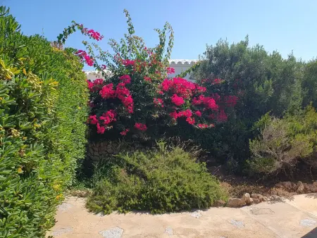 Ficula Vell – Villa 5 chambres, piscine privée, 20m de la mer : photo 37