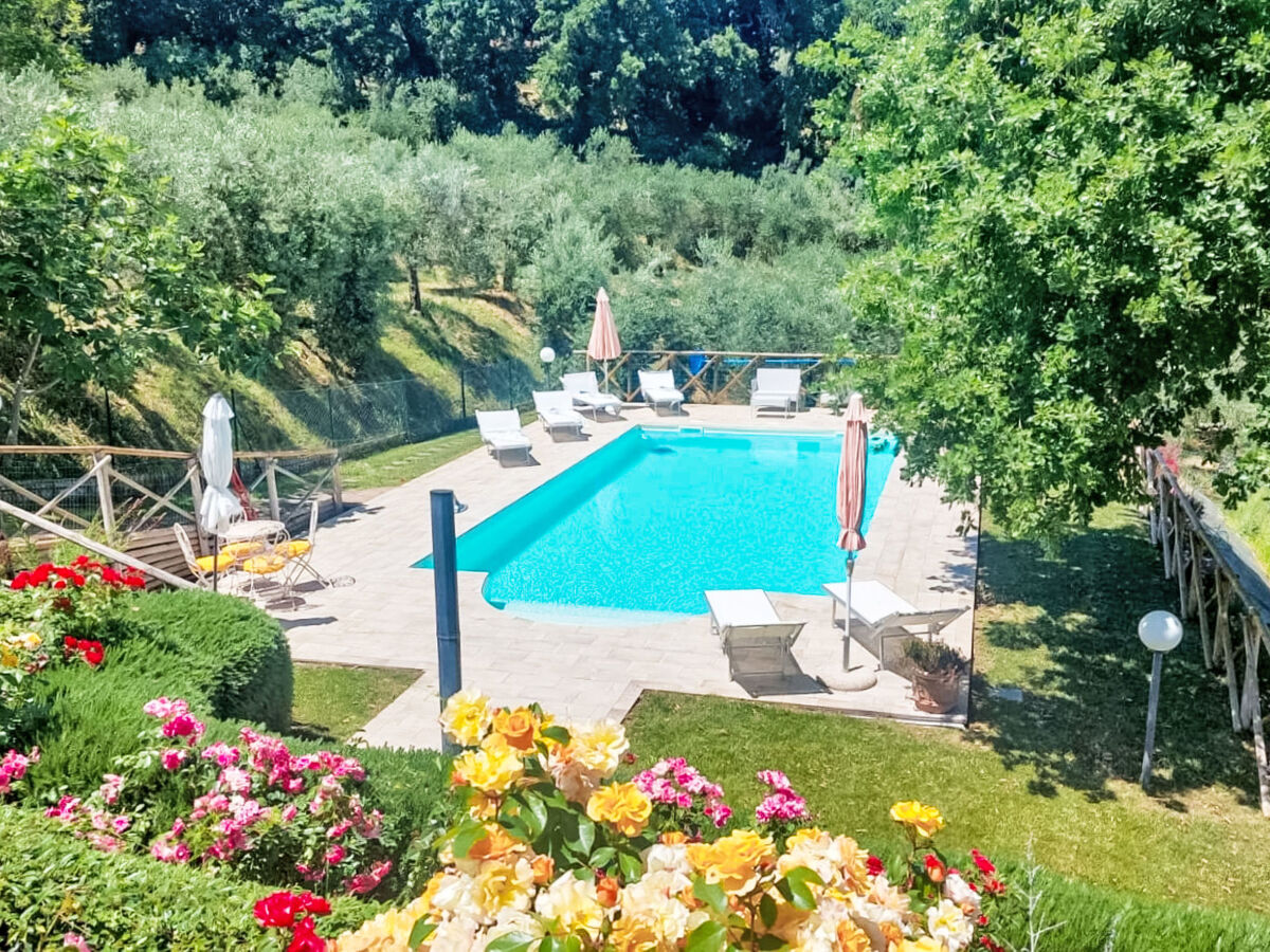 Casa dei Nonni, gîte 6 pers. avec piscine à Panicale - Photo 3