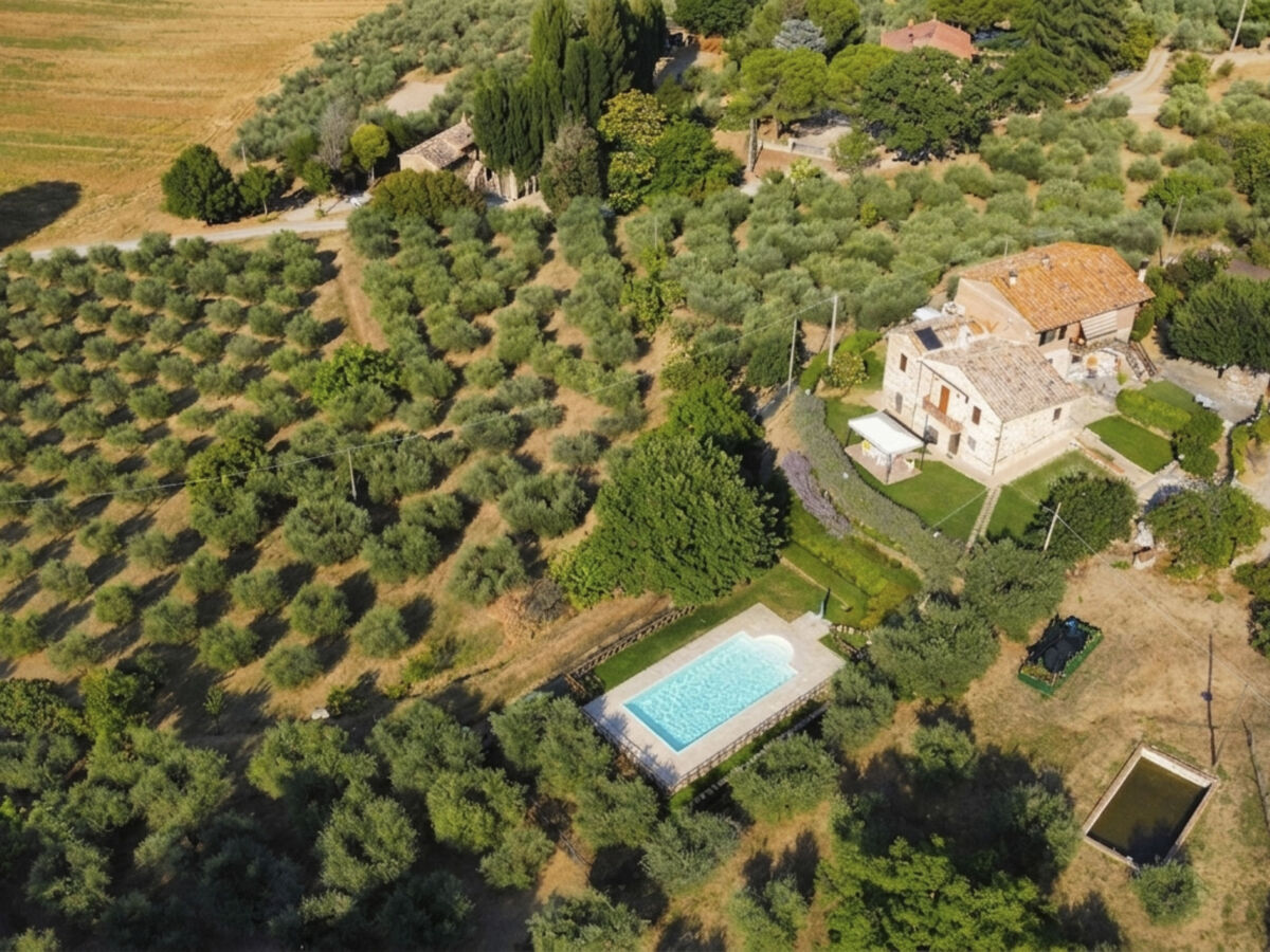 Casa dei Nonni, gîte 6 pers. avec piscine à Panicale - Photo 6