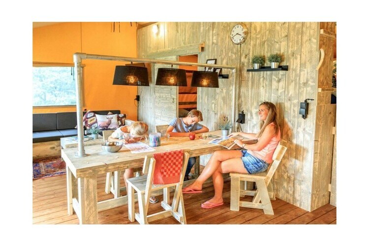 Tente Lodge 4 - Glamping de luxe à Mol - Photo 3
