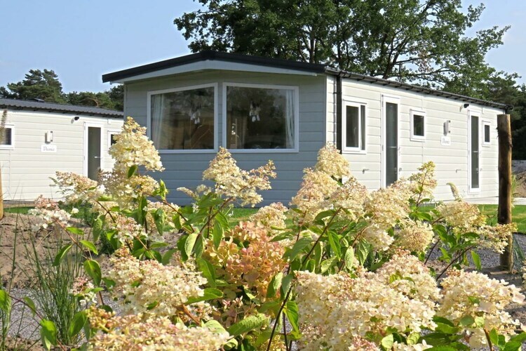 Chalet Berkel 6 à Mol : maison 6 pers., plain-pied - Photo 1