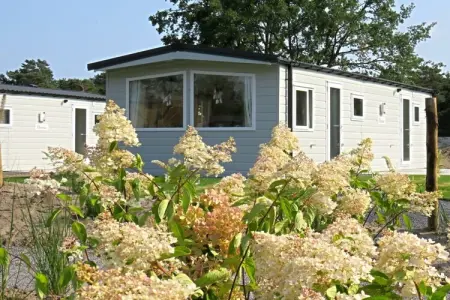 Location maison à Mol, Maison de vacances à Mol avec terrasse et Wi-Fi