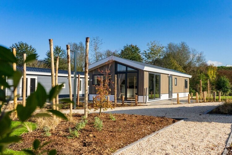 Maison Velthorst 4 à Mol, 4 personnes, jardin - Photo 9