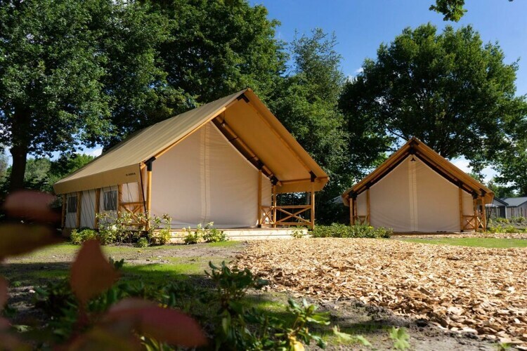Tente de glamping luxe 4 personnes à Mol - Photo 6