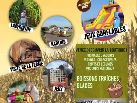 Gîte 12 pers. à la ferme avec jardin 1000m² : photo 15