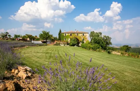 Appartement avec terrasse et piscine partagée à Murlo, Toscane : photo 6