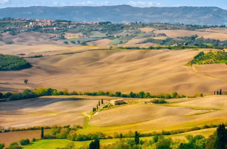 Appartement avec terrasse et piscine partagée à Murlo, Toscane : photo 40