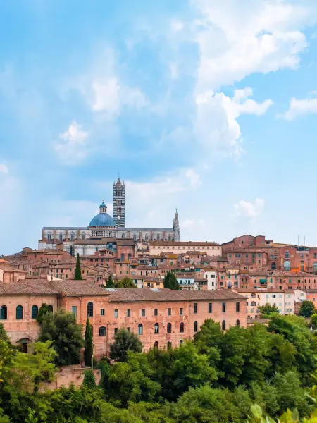 Appartement avec terrasse et piscine partagée à Murlo, Toscane : photo 47