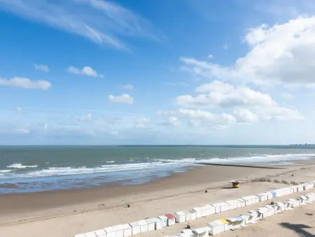 Tureluur – Appartement d'angle vue mer à Blankenberge : photo 31