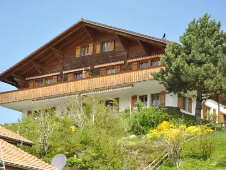 Location appartement à Hasliberg, HasliRent, Gärbi, (Hasliberg Reuti). 3.5 Zimmer Wohnung im Parterre von einem C