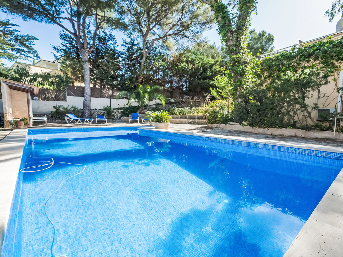 Villa Entrepins Santa Ponça, 8 pers., piscine privée - Photo 20