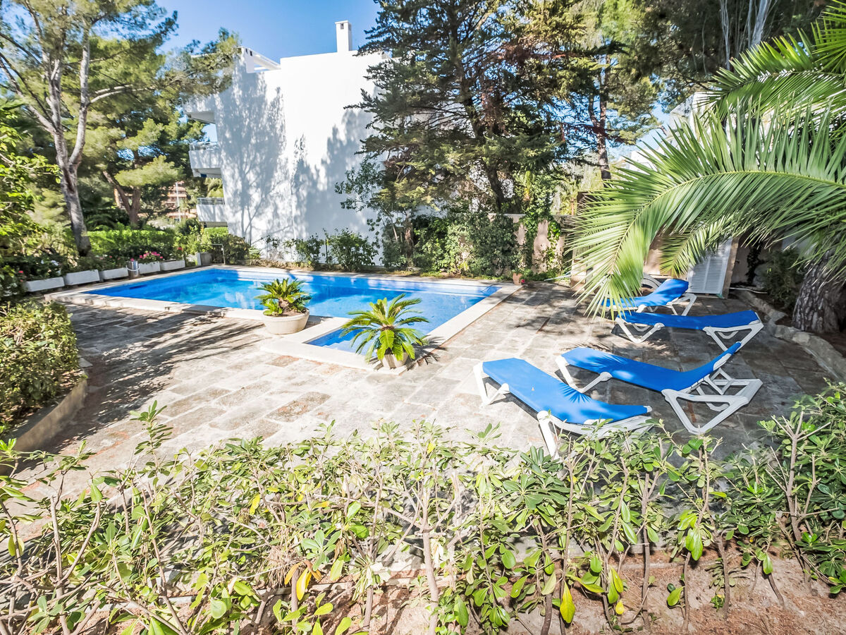 Villa Entrepins Santa Ponça, 8 pers., piscine privée - Photo 21