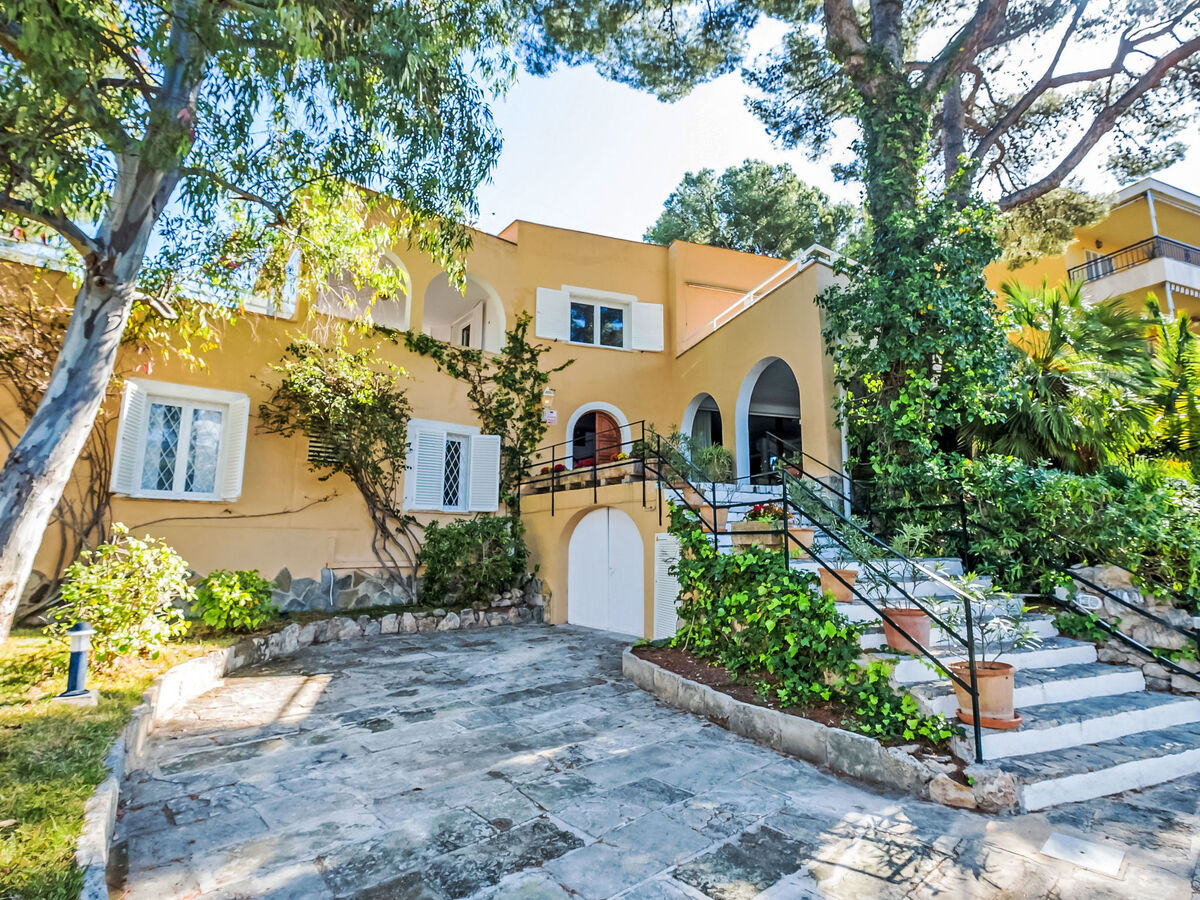 Villa Entrepins Santa Ponça, 8 pers., piscine privée - Photo 24