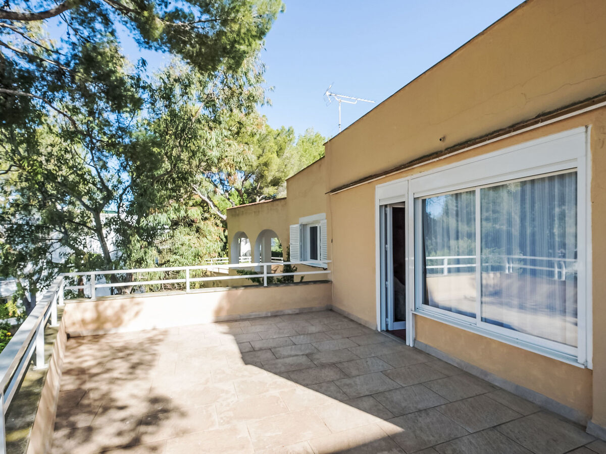 Villa Entrepins Santa Ponça, 8 pers., piscine privée - Photo 29