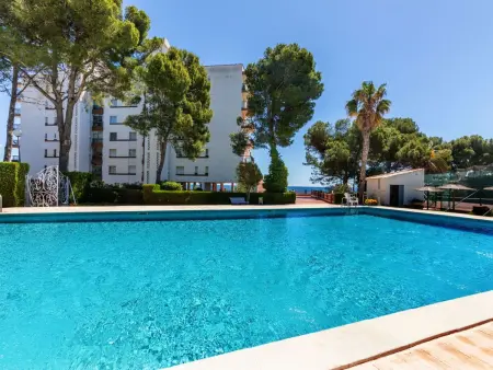 Apartamento Palace : 3 pièces vue mer à 10 m de plage : photo 29