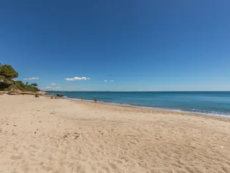 Apartamento Palace : 3 pièces vue mer à 10 m de plage : photo 33