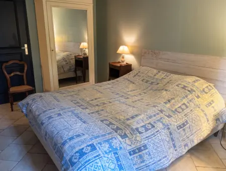 Maison familiale avec grand jardin et cheminée à Coullons : photo 4