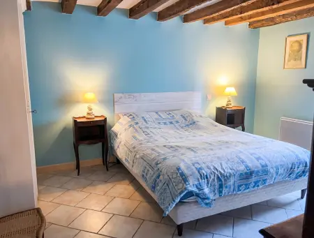 Maison familiale avec grand jardin et cheminée à Coullons : photo 12