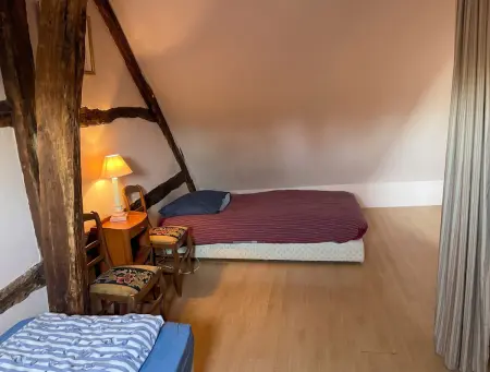 Maison familiale avec grand jardin et cheminée à Coullons : photo 13