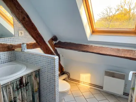 Maison familiale avec grand jardin et cheminée à Coullons : photo 16