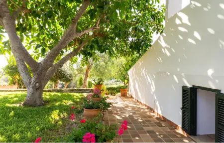 Maison Petunia Santa Margalida avec piscine et vue mer : photo 25