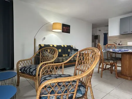 Appart vue mer Banyuls, 4 pers., clim, parking : photo 5